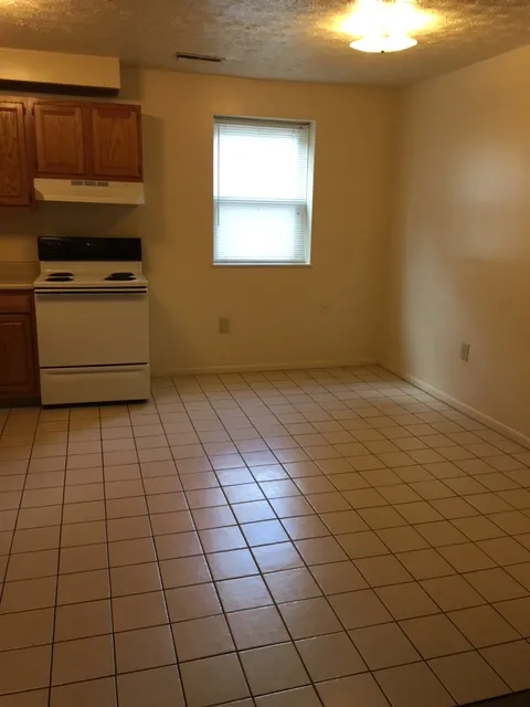 198 E 16th Ave - Townhouse
