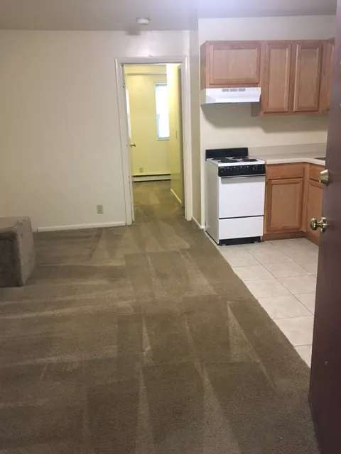 198 E 16th Ave 1BR