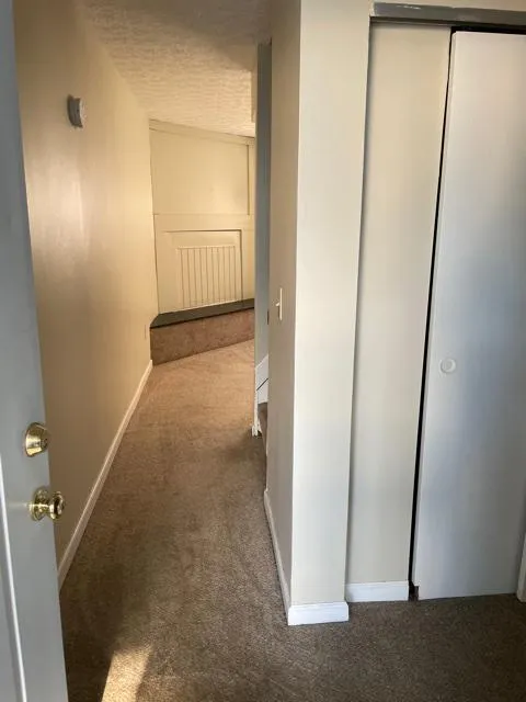 114 E Norwich Ave Apt C